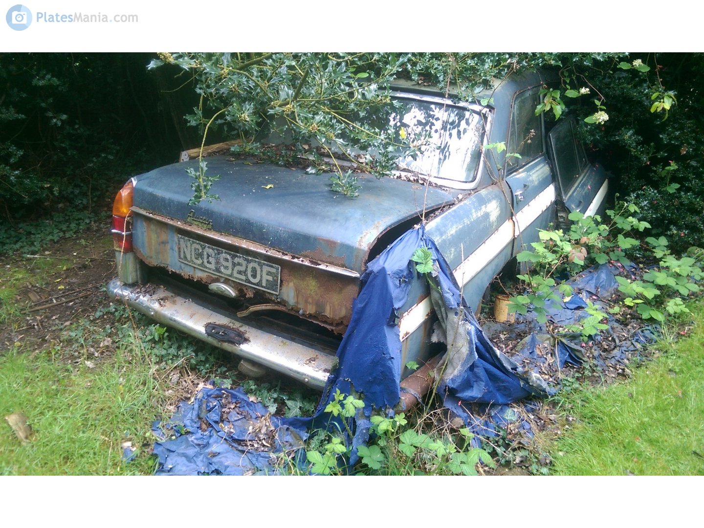 NCG920F, Austin Cambridge 