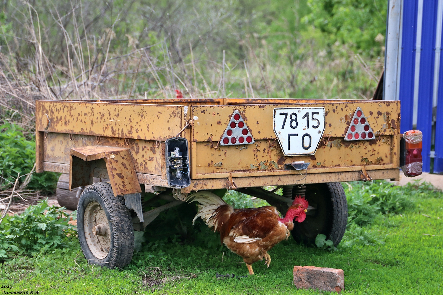 7815 ГО, NefAZ (NZAS) 8122 