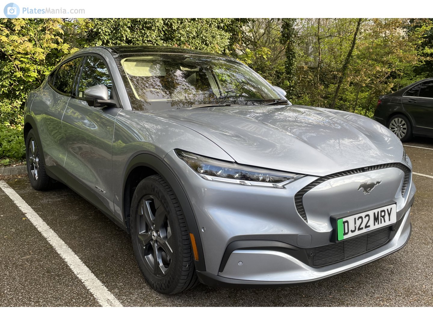 DJ22MRY, Ford Mustang Mach-E 1st gen (CX727), 2021–