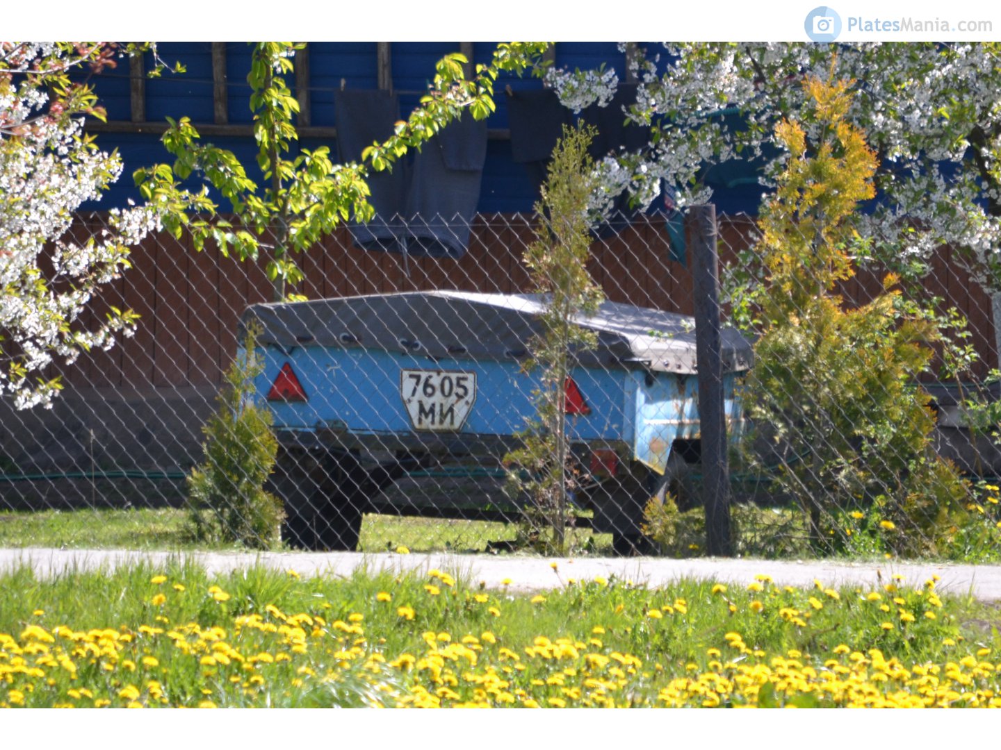 7605 МИ, MAZ 8111/8114 