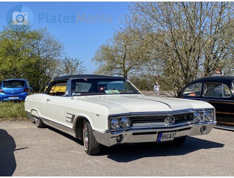 65 CAT, Buick Wildcat