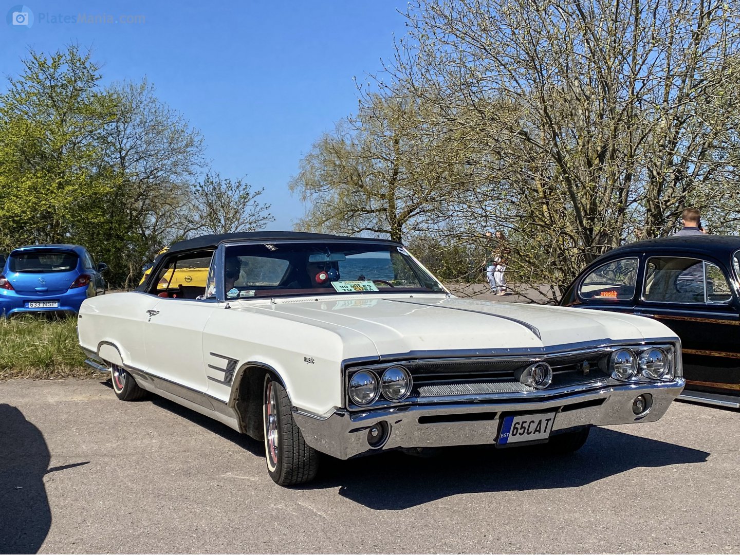 65 CAT, Buick Wildcat 