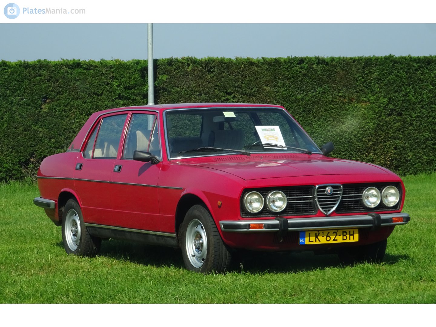 LK-62-BH, Alfa Romeo 2300 Rio 1st gen (102; BR-market), 1974–1988