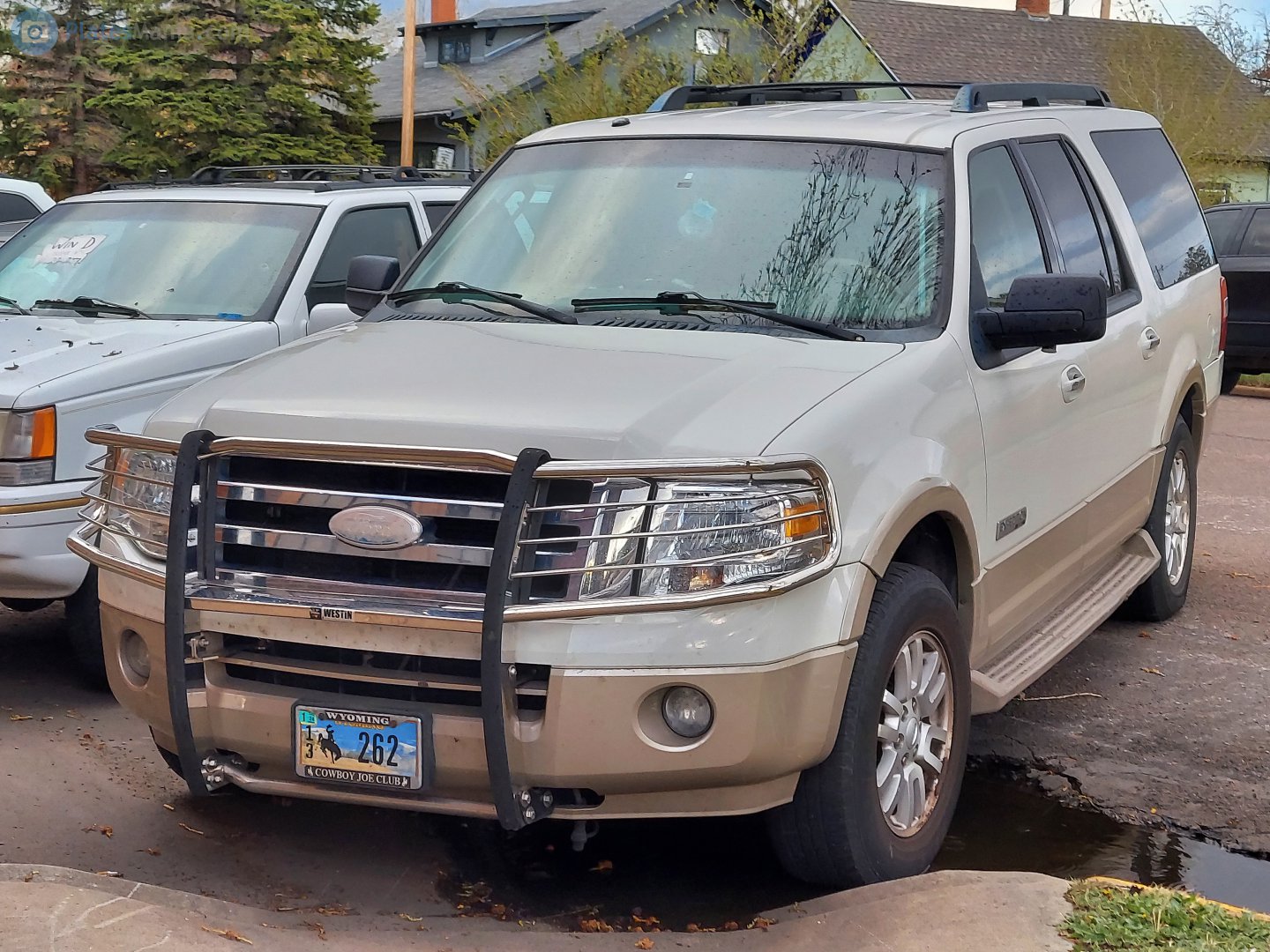 13 262, Ford Expedition 3rd gen (U324/U354), 2006–2014
