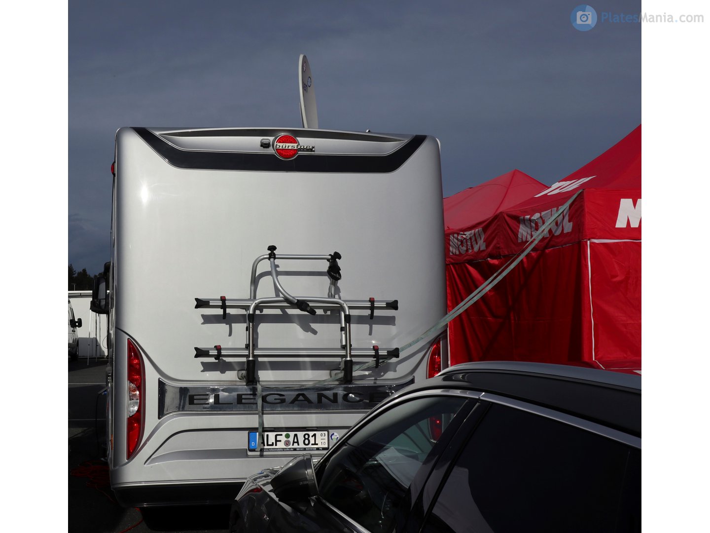 ALF A 81 (03/10), Bürstner Elegance 