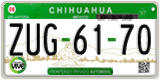 Chihuahua, Cars (AAA-00-00)