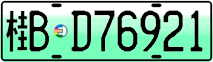 License plate of China, Electric vehicles