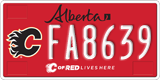 Alberta, Calgary Flames (FA1234)