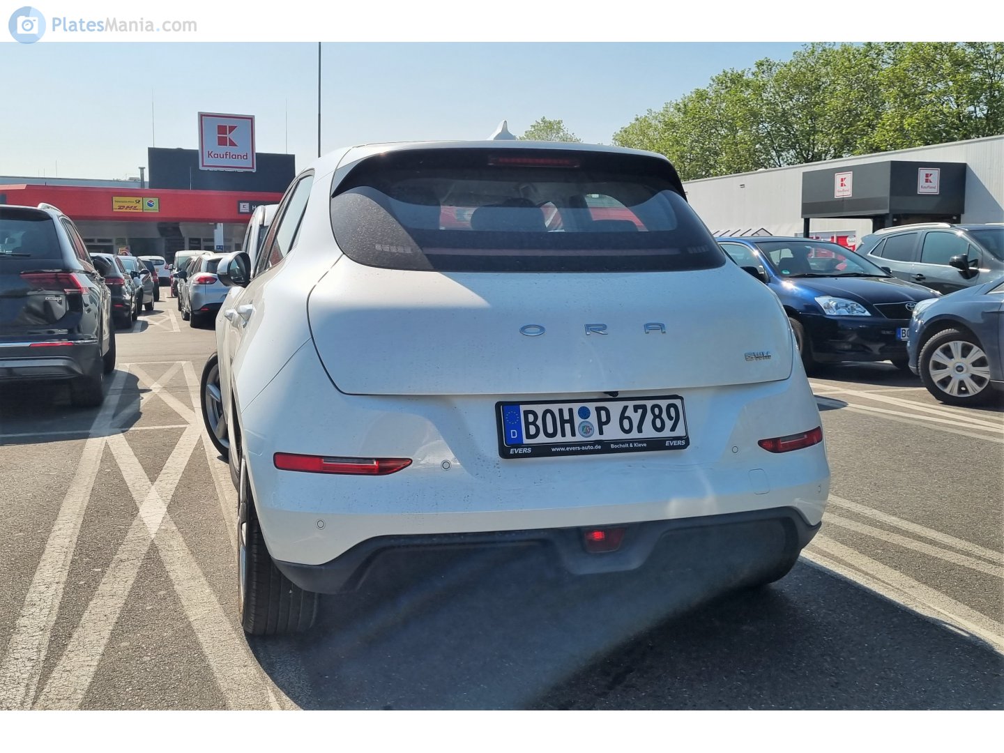 BOH P 6789, Ora (Oula) 03/ Haomao/ Good(Funky) cat 1st gen (ES11), 2020–