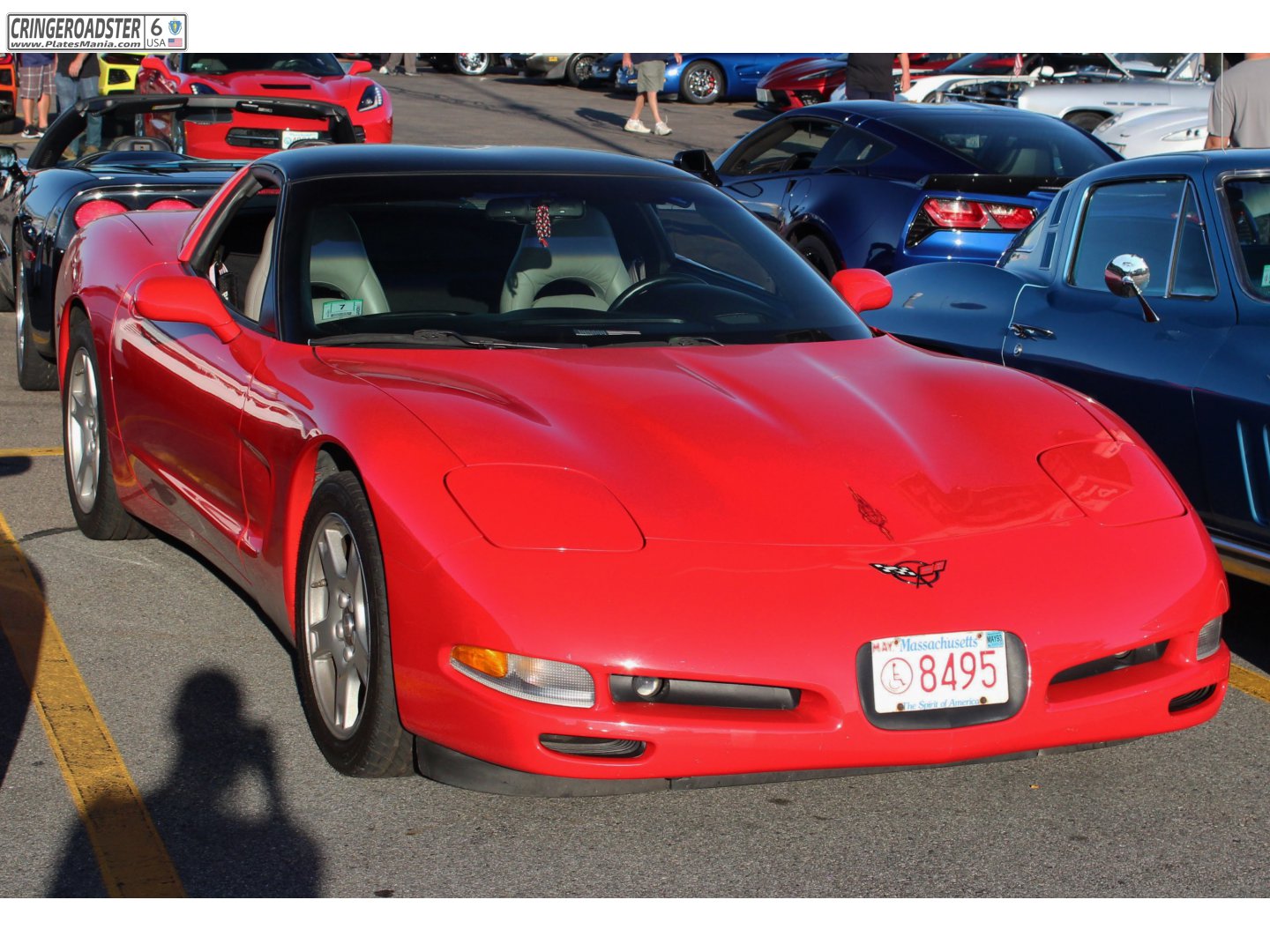 8495, Chevrolet Corvette 5th gen Targa (C5; Y-body), 1996–2004