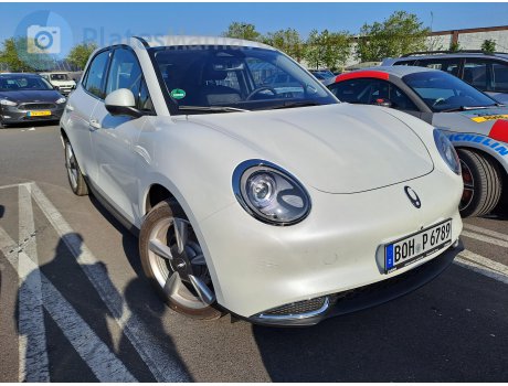 BOH P 6789, Ora (Oula) 03/ Haomao/ Good(Funky) cat