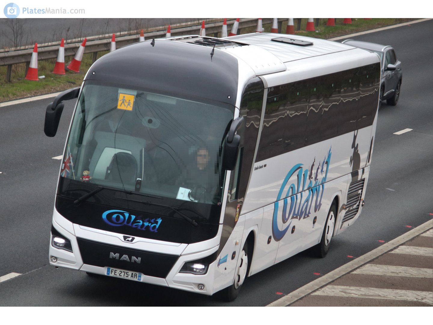 FE-275-AR, MAN Lion's Coach 3rd gen, 2017–