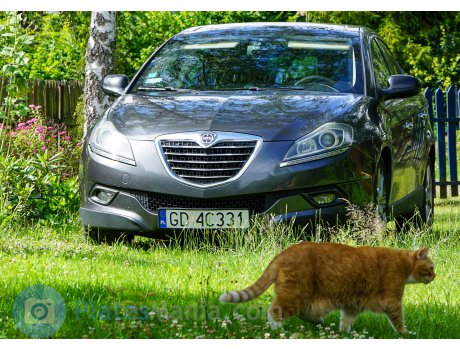 GD 4C331, Lancia Delta