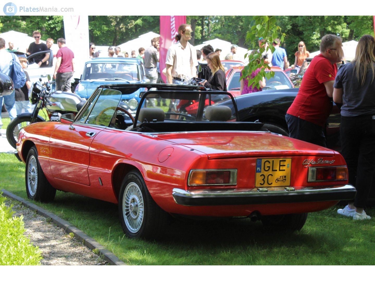 GLE 3C, Alfa Romeo Spider 2nd gen, 1969–1982