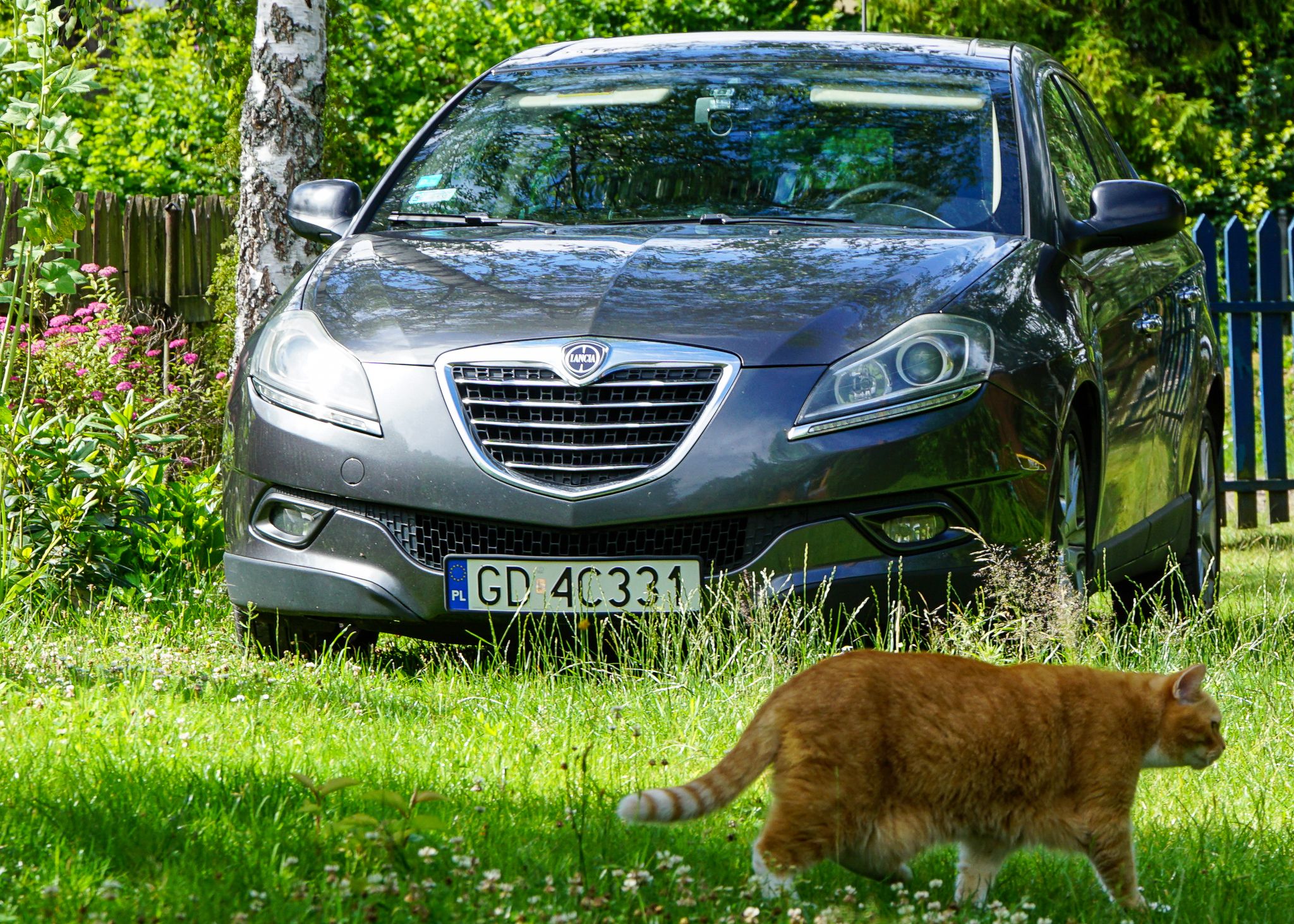 GD 4C331, Lancia Delta 3rd gen (844), 2008–2014