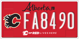 Alberta, Calgary Flames (FA1234)