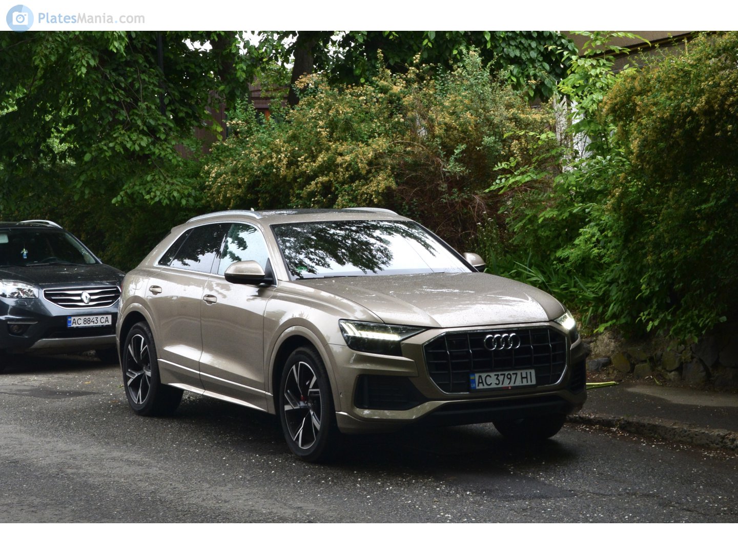 AC 3797 HI, Audi Q8 1st gen (4MN), 2018–2023