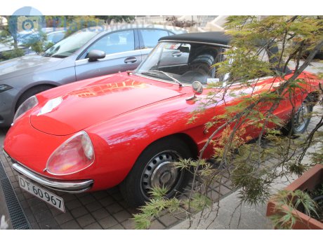 DT 60967, Alfa Romeo Spider