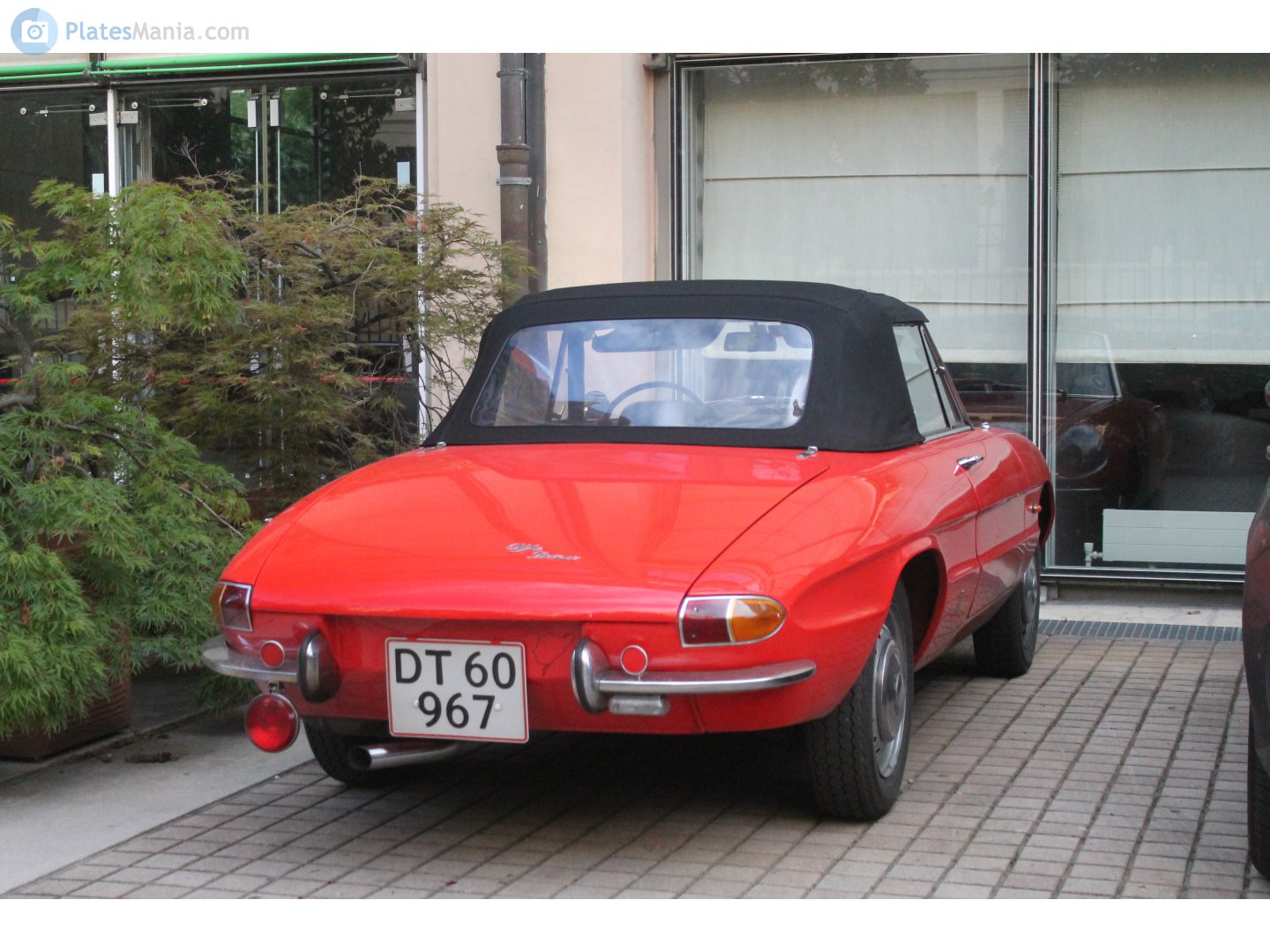 DT 60967, Alfa Romeo Spider 1st gen, 1966–1969