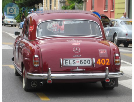 ELS 600, Mercedes-Benz Type 219/220