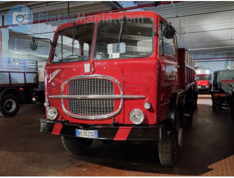 BS 352 SG, FIAT 600 Serie III Trucks