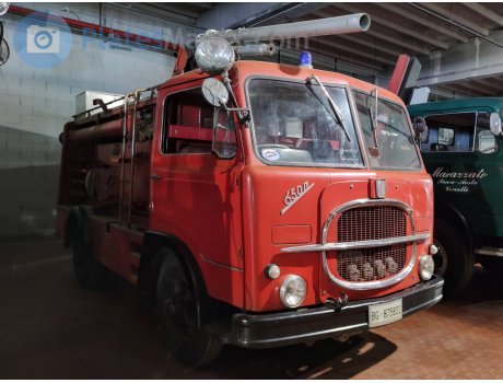 BG 875832, FIAT 600 Serie III Trucks