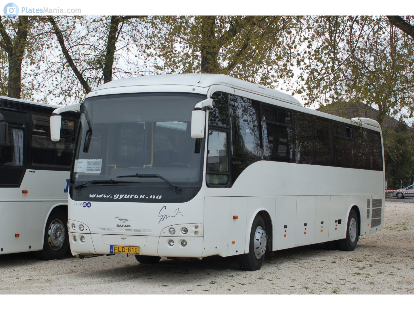 FLD-810, TemSA Safari 