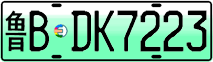License plate of China, Electric vehicles