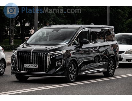 е256то125, Hongqi HQ9