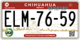 Chihuahua, Cars (AAA-00-00)