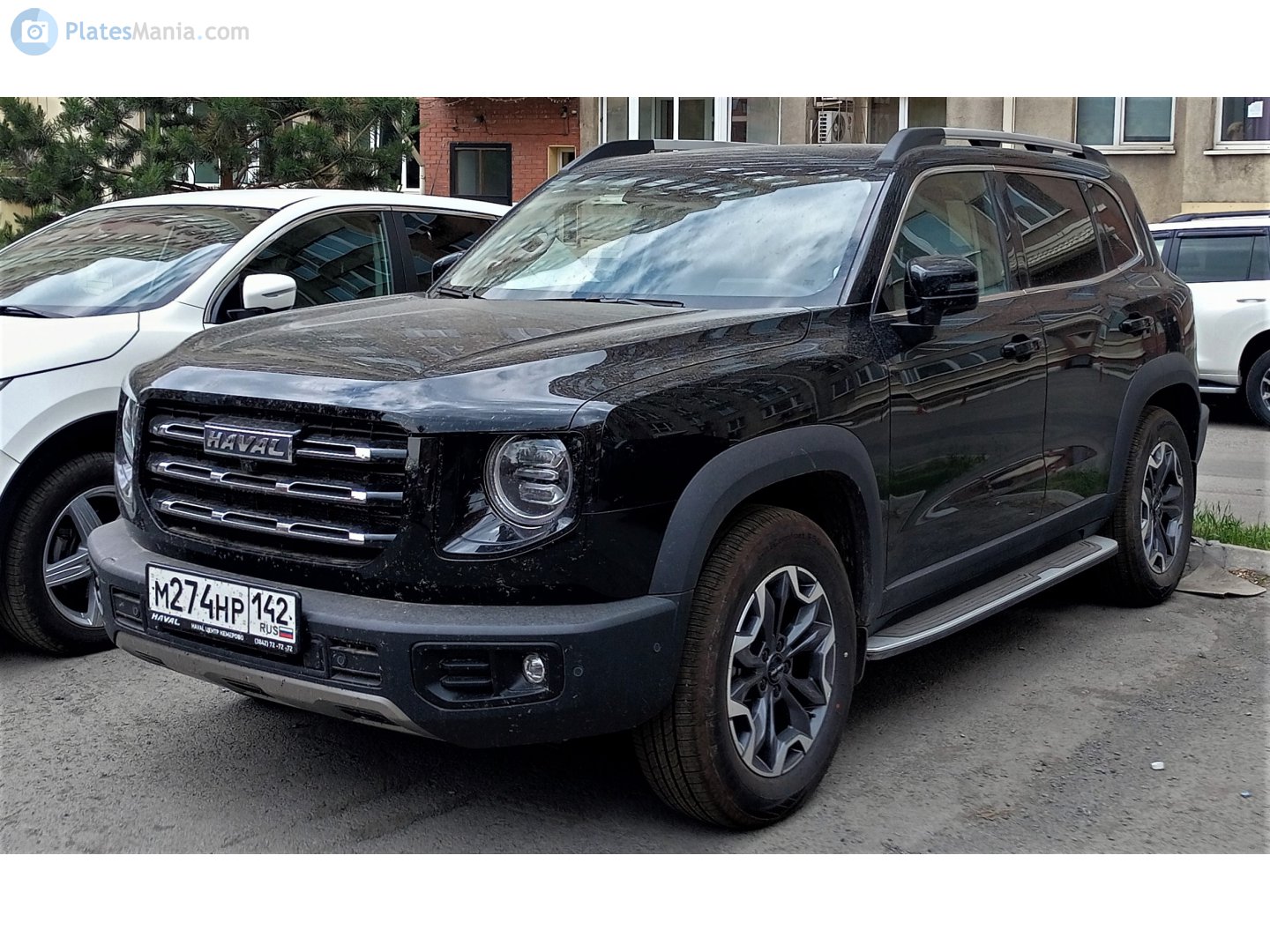 м 274 нр 142, Haval Dargo (Dagou / Big Dog) 1st gen, 2020–