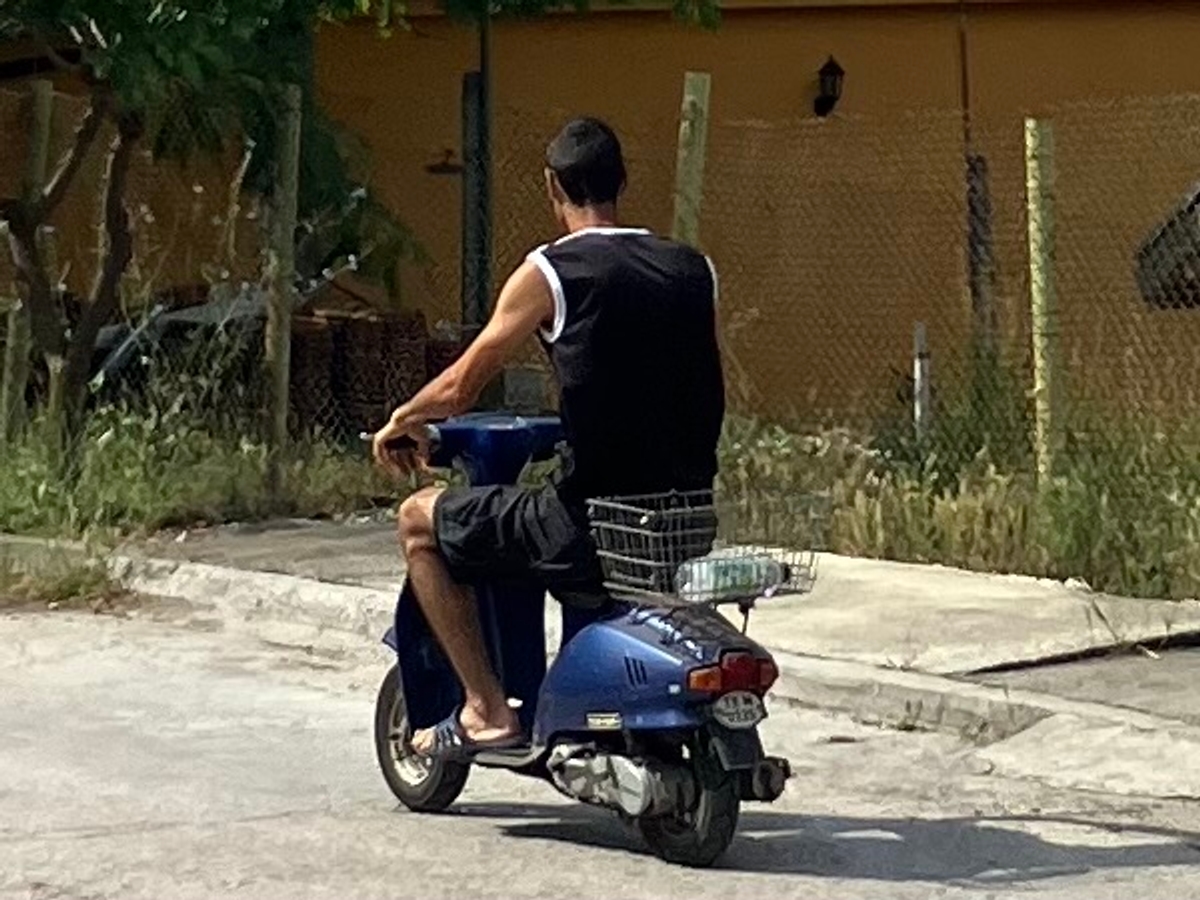 TX 0135 M, Suzuki Ran 