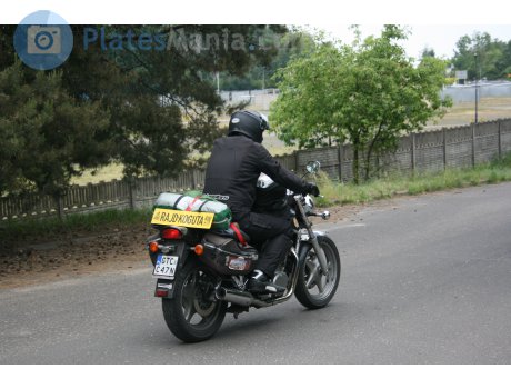 GTC C47N, Suzuki VX800