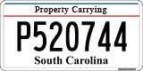 South Carolina, Property Carrying (P123456)