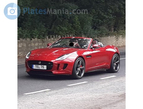 TEL 75, Jaguar F-Type