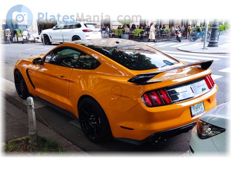 PUMPKIL, Ford Mustang