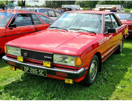 DP-265-SC, Nissan Bluebird