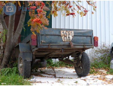 1451 ПД, SAZ (Saranskiy Zavodavtosamosvalov) 8299