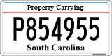 South Carolina, Property Carrying (P123456)