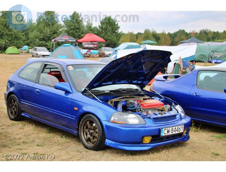 CW 84461, Honda Civic