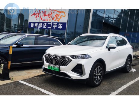 鲁B·F35333, WEY Natie (Latte)