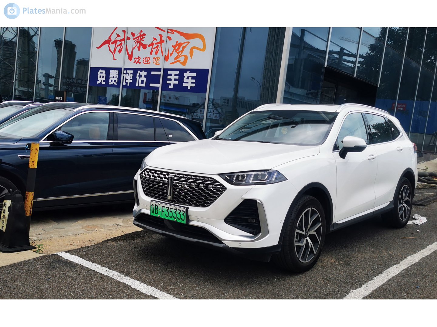 鲁B·F35333, WEY Natie (Latte) 