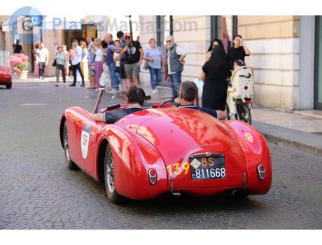 BS 811668, Cisitalia 202