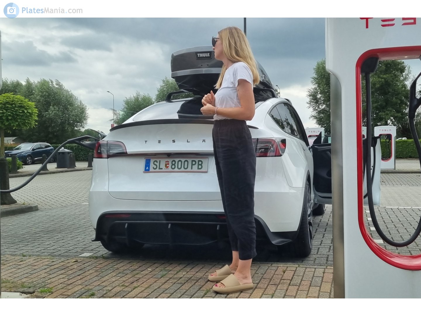 SL 800 PB, Tesla Model Y 1st gen (5YJY), 2020–2025