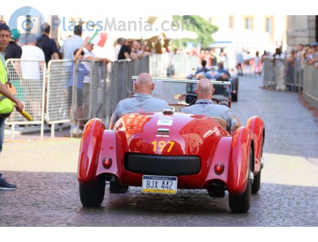 BJX 442, Healey Silverstone