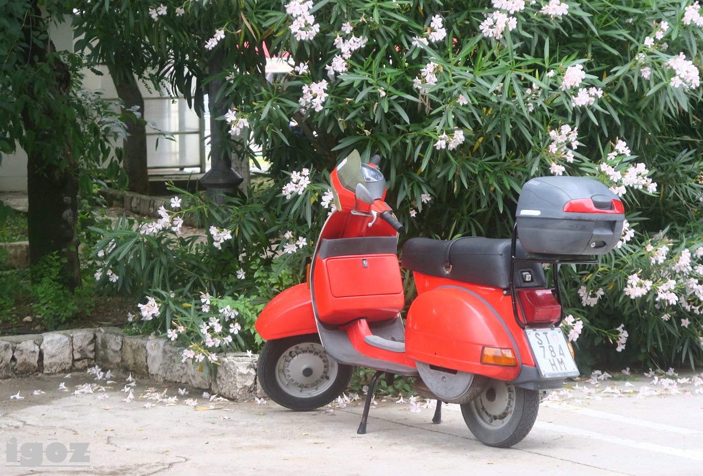ST 784-HM, Vespa TX 