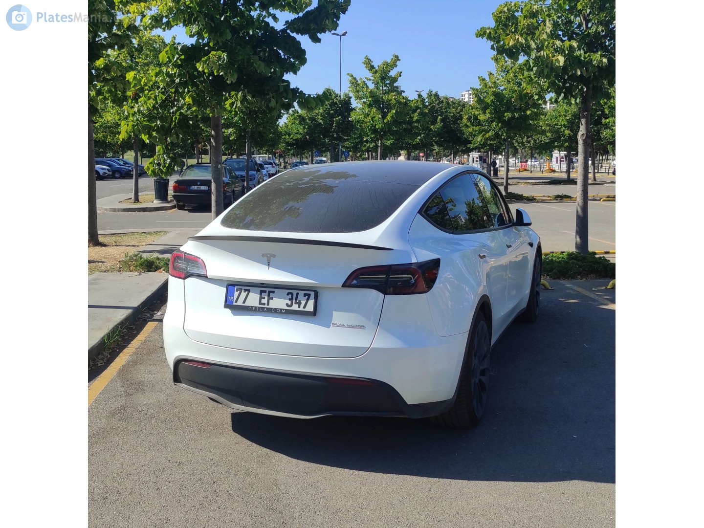 77 EF 347, Tesla Model Y 1st gen (5YJY), 2020–2025