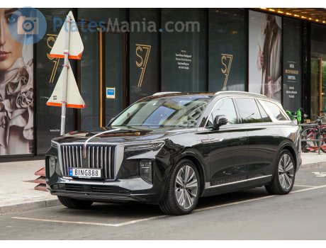 BING888, Hongqi E-HS9