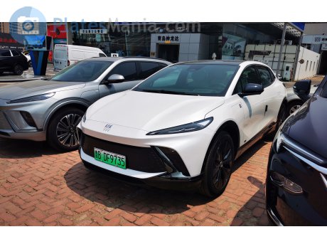 鲁B·DF9735, Buick Electra