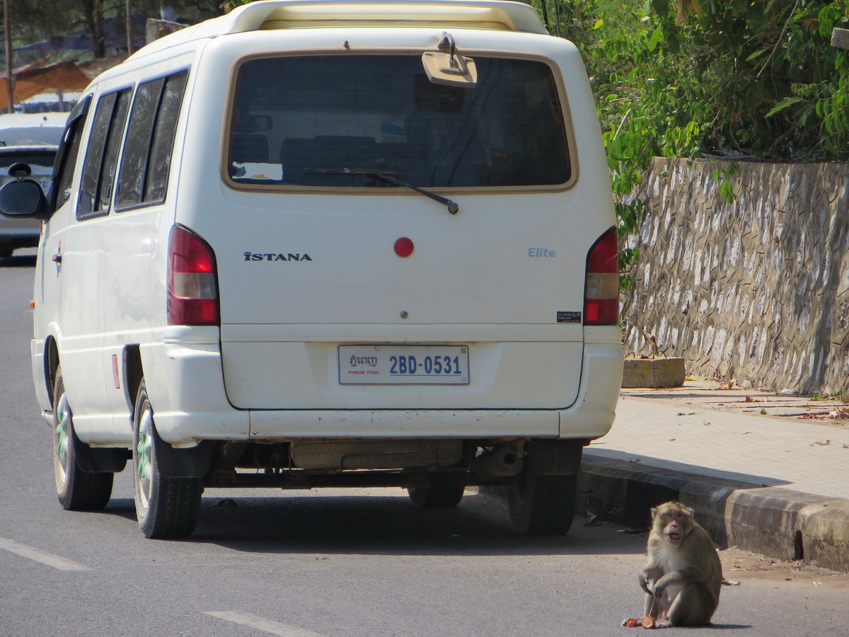 2BD-0531, SsangYong (KGM) Istana 1st gen, 1995–2004